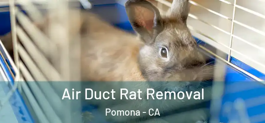  Air Duct Rat Removal Pomona - CA
