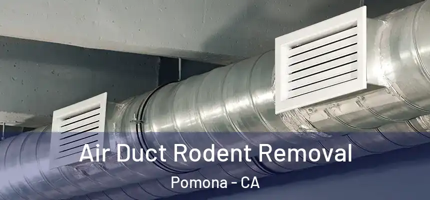 Air Duct Rodent Removal Pomona - CA