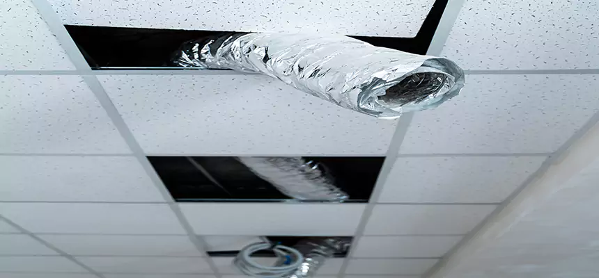 Affordable HVAC Sanitizing After Pest Removal in Pomona