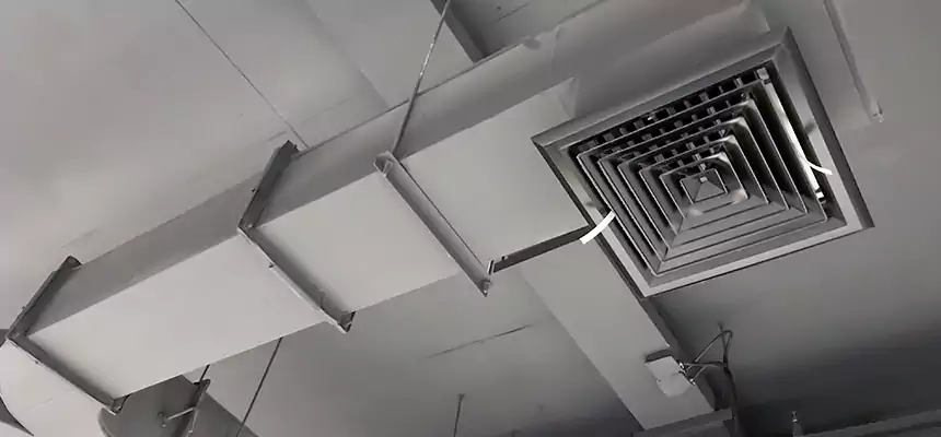 Restorative Allergy Relief Vent Cleaning – Coil, Blower & Housing Detail in Pomona