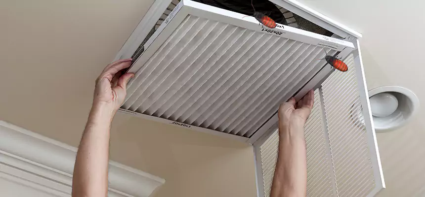 Our Insect Removal from Air Ducts Services in Pomona, CA