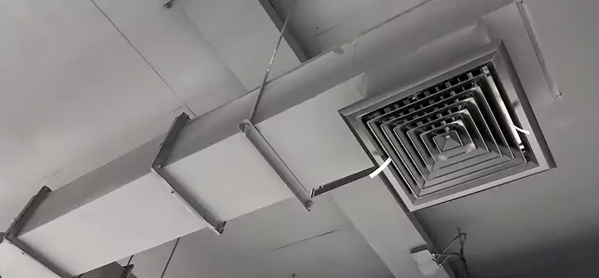 Our Rodent Droppings In Vents Services in Pomona, CA