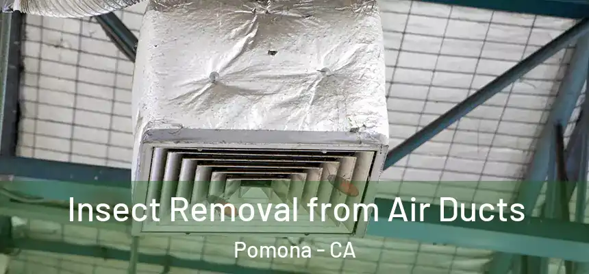 Insect Removal from Air Ducts Pomona - CA
