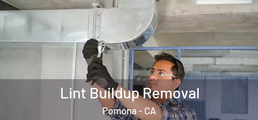  Lint Buildup Removal Pomona - CA