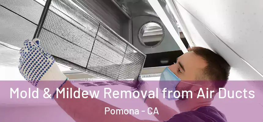 Mold & Mildew Removal from Air Ducts Pomona - CA
