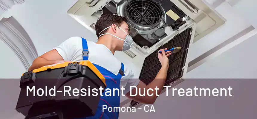  Mold-Resistant Duct Treatment Pomona - CA