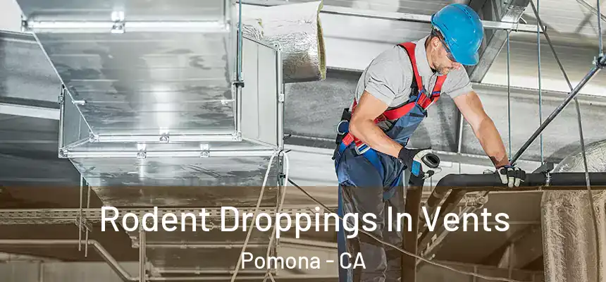 Rodent Droppings In Vents Pomona - CA