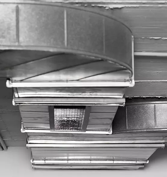 Professional Air Duct Pest Removal in Pomona, CA