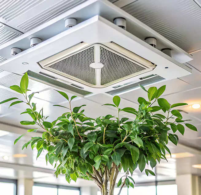 Why Homeowners & Businesses Trust Us in Pomona, CA